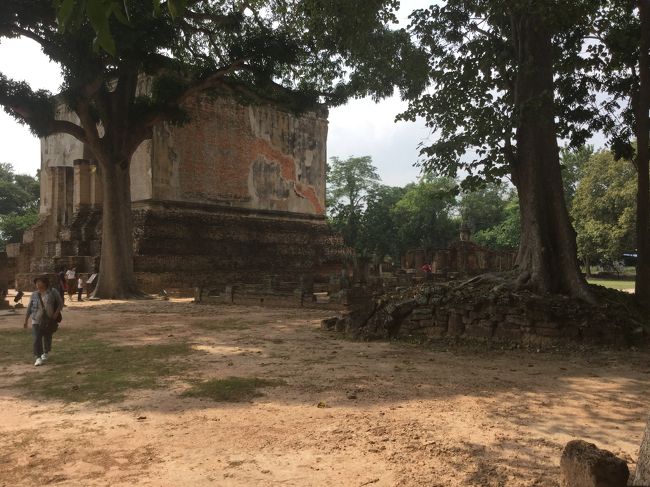 上記写真は、林の中にあった遺跡？だったと思います。林の散歩も、意外と面白かったです。<br /><br />8：00頃　5～10分位で、西側のお堀の橋に到着。<br />朝は、さすがに、人が少ないです。係りの人？達が掃除をしていました。<br />　<br />最近のタイは、掃除が行き届いているように思えます。<br />昨夜の人込みの後の朝とは、思えません。（とは言っても、ゴミは有りますが）<br />日本はきれいだと言いますが、タイもきれいです。<br /><br />祭りの後の静けさは、良かったです。昨日の人込みとは、打って変わってしずかです。飾りが多すぎて、ちょっと、遺跡の雰囲気としては、微妙ですが、ゆっくり写真が撮れました。<br /><br />ワット・スラ・スリ？の仏像も、逆光にならず、ラームカムヘーン大王も一目を気にせずに、写真が撮れました。<br />ラームカムヘーン大王の銅像の側は、東側の入り口近くです。<br />後で考えたのですが、スコータイ博物館によれば、よかったなあと思いました。<br /><br />私が分かった範囲ですが、トイレは、西側と南側にあります。きれいだと思います。北側にも有ったような気がします。東側は、全然わかりません。<br /><br />旧遺跡から、コテージに戻ります。