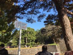 西桔橋の行列が見えます。