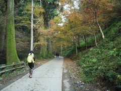 1号路は傾斜もほどほどで、歩きやすい。途中、1号路を外れて金毘羅台園地へ。