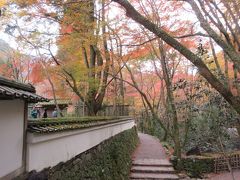 続いて訪れたのは鳥獣戯画の絵巻物で知られる高山寺。
台風19号の被害で、金堂や日本最古の茶園、紅葉が最も美しいエリアなどは見られず、敷地内はほとんど散策できませんでした。