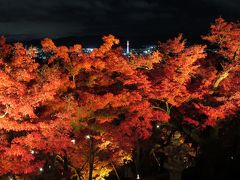 夜は清水寺のライトアップへ。
遠く京都タワーも見えました。
清水坂は昼同様、多くの人で賑わっていました。

清水寺の紅葉満足度　３