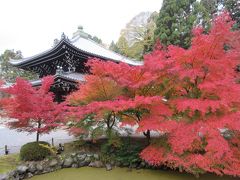 午後は、浄土宗の総本山、知恩院へ。
紅葉の鑑賞目的で訪れたわけではなかったのですが、思いもかけず、きれいな紅葉に出会えました。