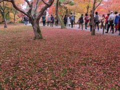 3日目は東福寺へ。
8時半開門にもかかわらず、8時には多くの人が列を作っていました。
地面に落ちた紅葉も絵になります。
