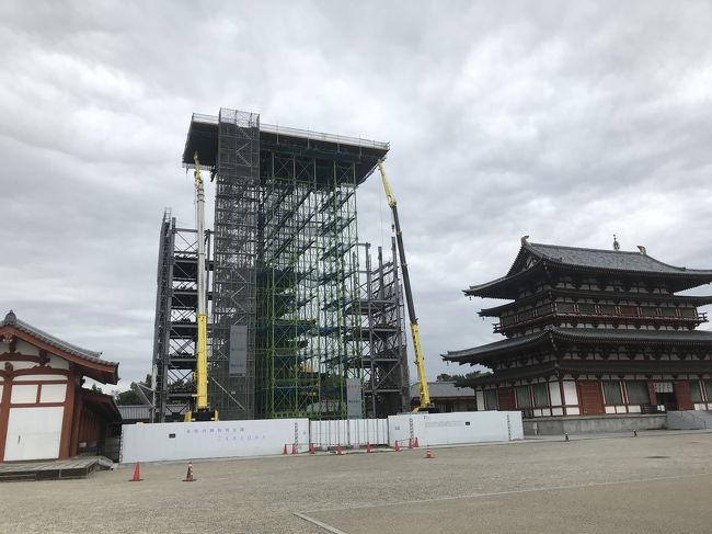 西ノ京駅の目の前、薬師寺です。<br /><br />薬師寺しょっちゅう来ていると思っていたが、4年ぶりだった。しかも、東塔は私が奈良に通い始めてからずっと修理中で白い囲いがされていたので、姿を見るのは中学生以来だ！<br />そして、4年前に瓦を奉納した食堂（じきどう）も完成しているではないか！！<br /><br />東塔は10年かけて解体修理をしていましたが、修理に使われていた足場が解体され始めたようです。 <br />6年前に来た時は解体された東塔の部品が展示されていて、水煙の飛天の彫刻に驚いたんだったなぁ<br /><br />そのときの旅行記。https://4travel.jp/travelogue/10885554<br />