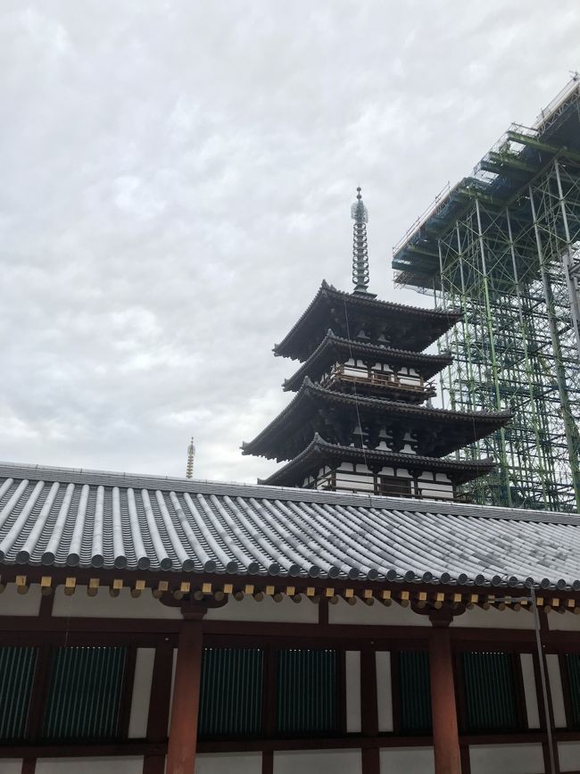 東塔を、東院堂の前から双眼鏡で観察！<br /><br />かつて、あの水煙を目の前で見たなんて！！双眼鏡で見ると飛天たちがまさに！天を舞ってるようでした。<br /><br />あ。奥に見えるのは西塔の水煙です。