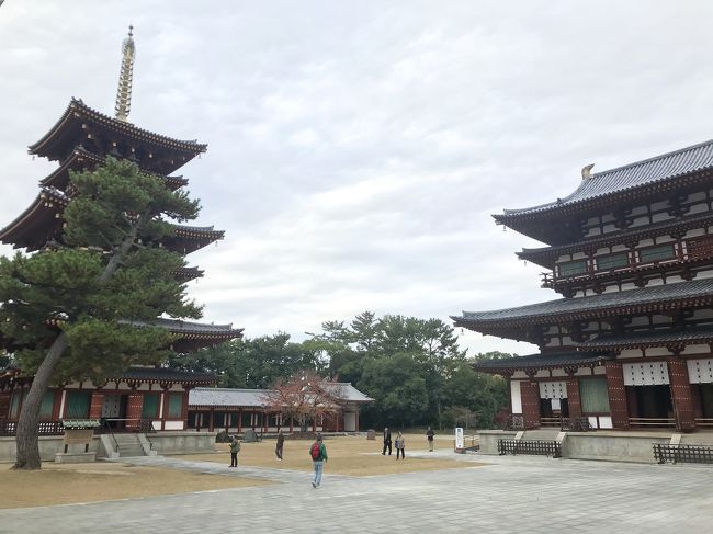 右の本堂で薬師如来、日光菩薩、月光菩薩をお参り。脇侍の菩薩たちの腰のくねり方が、なんとも優雅です。<br /><br />西塔は、内部公開していて見学したのですが、これも驚き！こ、こんなことになっていたんだ！！<br /><br />詳しくは書きませんが、法隆寺の五重塔の内部のようでした。新しい建物なので、崇拝の対象というよりも美術品として鑑賞というような感じがしましたが、写真集買おうか5分くらい立ち読みして悩んだ。<br /><br />買わなかったけど(￣∇￣)