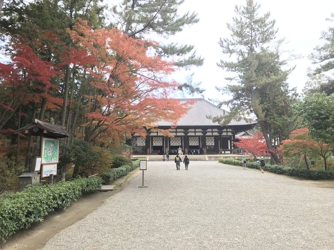 金堂へ向かいます。こちらには盧舎那仏と千手観音がいます。<br />こちらの千手観音は、本当に手が千本あります。圧巻です。子供の頃は、手や顔が沢山ある仏像が怖くて怖くてたまらなかったですが、<br />『沢山の手や表情で多くの人を救う様子を表している』<br />という考えだと知ると、とてもありがたく感じます。<br /><br />