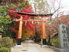 宇治上神社　正式名称は「宇治離宮明神」

世界遺産に登録もされていますが、あまり知られていない『宇治上神社』。
平等院の鎮守社として崇拝されてきた神社。
醍醐天皇が平等院を訪れた折りに「離宮明神」の神位を与えたそうです。

平安時代には現在の宇治神社、宇治上神社の両神社を合わせて宇治鎮守明神、離宮明神とされていました。
