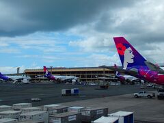 HAWAIIAN AIRLINES★