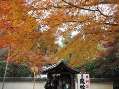 東福寺　龍吟庵の前の紅葉

庫裏の裏手にある龍吟庵は比較的空いている紅葉の穴場。
東福寺の塔頭寺院で第一位に置かれている龍吟庵、室町時代（1291）創建。