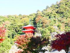 伊奈波神社まえあたりにある福丸の鯛焼き予約時間までの愛間にてくてく歩いて岐阜公園へ。
岐阜城まで登ろうかなって思いきや、たまたまロープウェーが点検中で休止。
残念ですが、ちょうど紅葉が見ごろでとても綺麗、紅葉狩りを楽しみました。