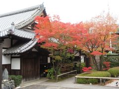 東福寺には25の塔頭が建っています。
それぞれ特徴ある塔頭なので、訪れてみるのも面白いと思います。
写真は桔梗の庭と枯山水庭園で知られる天得院です。
門から見た紅葉もきれいでした。