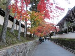 東福寺から道路にせり出している紅葉です。
