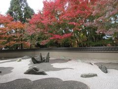 東福寺塔頭の一つ・龍吟庵へ。
紅葉手前の庭園は、白い砂が海を、黒い砂が雲を、石が昇天する龍を表現しているそうです。