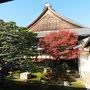 晩秋の京都で紅葉狩りと南座歌舞伎観劇