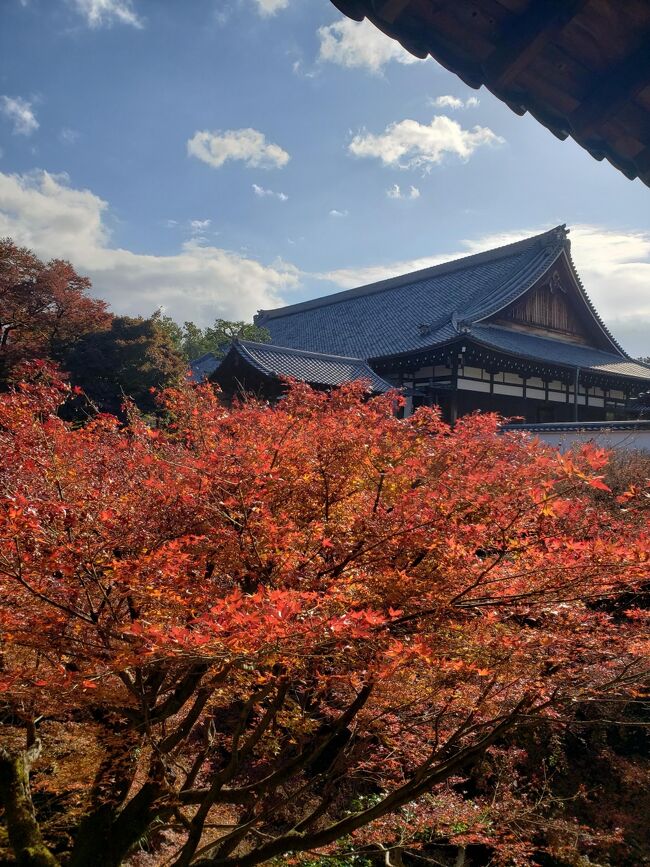 シニアトラベラー 京都日帰り満喫の旅 京都駅周辺 京都 の旅行記 ブログ By 3104ねえねえさん フォートラベル シニアトラベラー 京都日帰り満喫の旅 京都駅周辺 京都 の旅行記 ブログ By 3104ねえねえさん フォートラベル