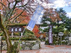 旧竹林院をあとにし、道を隔てたところにある『芙蓉園』に向かいました。

ここはかつての延暦寺の里坊『白毫院』が明治時代に料亭芙蓉園の所有となり、現在は「芙蓉園」というレストランになっているのだとか。