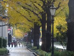 山下公園通り

神奈川県民ホールでチケットを買った後に、みなとみらいまで散歩（往復）。