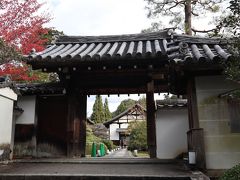 泉涌寺の別院「雲龍院」
静かで落ち着いた佇まいのお寺。