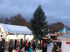 ホテルの前にあるチュイルリー公園でクリスマスマーケットやってました！