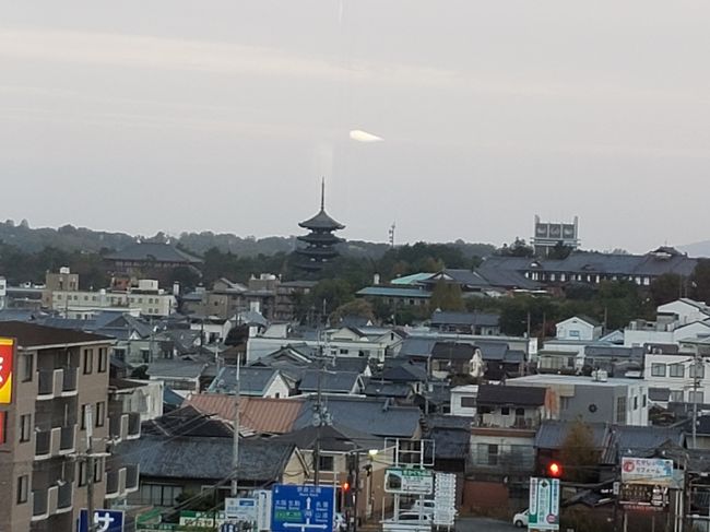 ズームまでしちゃいます。