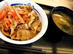 　途中牛丼を食べました。(松屋柏崎店　　https://pkg.navitime.co.jp/matsuyafoods/spot/detail?code=0000000652　)