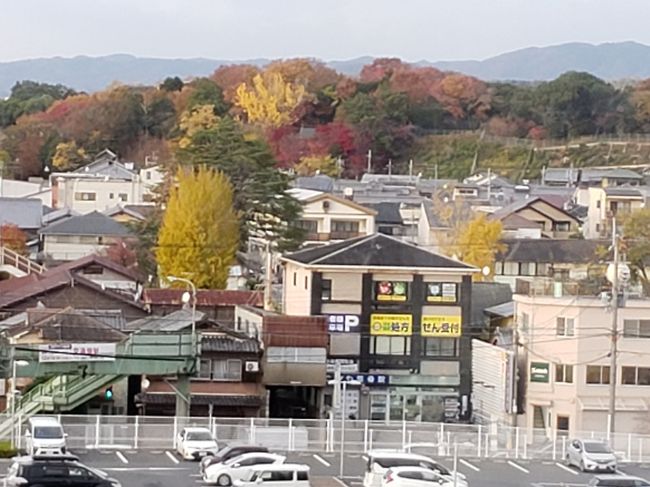 日にちがたつと、だんだんと吐き気が」なくなって、食べられるようになってきます。<br />とはいえ、ヨーグルトとかですけど。
