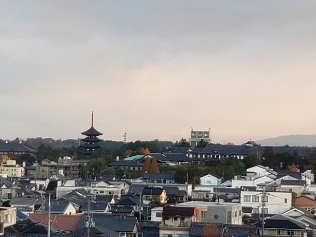 口からお薬が飲めるようになったので、点滴の量も減ってきます。<br />