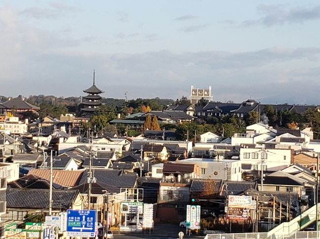 母が、朝きてくれます。