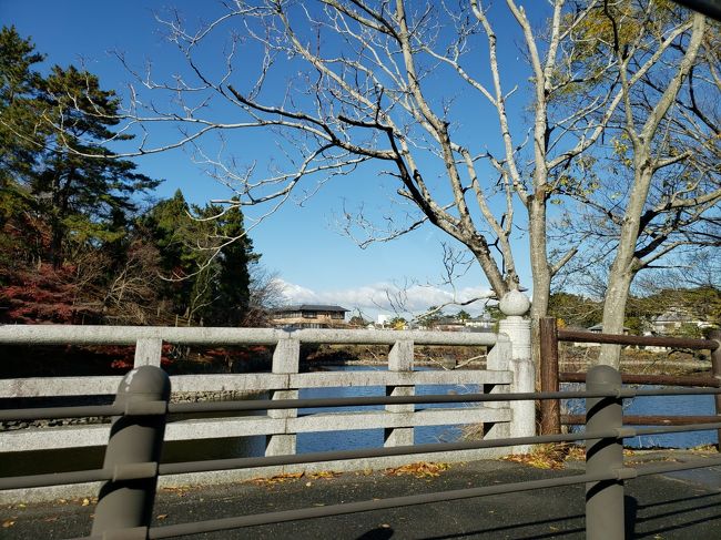 荒池の横を通って・・・