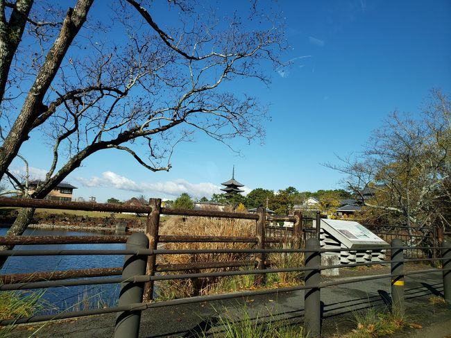 紅葉は、まだかな？