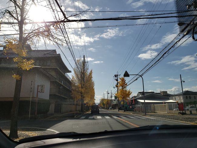 黄葉を見ながら、やっと家に帰れました♪<br /><br />