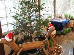 横浜山手テニス発祥記念館

星降る森のクリスマス

世界のクリスマスには含まれませんが、飾り付けがされています。