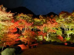 夕飯の後、宿のご主人が希望者を渓石園という公園に車で案内して下さいました。夜はライトアップされていて、昼間とはまた一味違う美しさを味わえるんです。