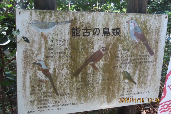 久しぶりの福岡への旅 能古島散策 自然探勝路コース 展望台へ 福岡県の旅行記 ブログ By Tsunetaさん フォートラベル