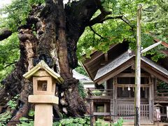 神魂伊能知奴志神社 (かみむすひいのちぬしのかみのやしろ)