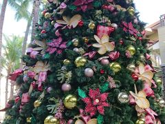 ホテルで荷物をほどいて、ちょっと休憩してからロイヤルハワイアンセンター（以下RHC）にあるレアレアラウンジにレアレアトロリーのパスを買いに行きます。

RHCにあったクリスマスツリー！
バックのヤシの木とクリスマスツリーがミスマッチだけど、南国のクリスマスって感じですね！

日本で買ったLeaLeaマガジンに付いているトロリーの1日無料券を持っていき、プラス$20で7日間の乗り放題券にアップグレードします。

飛行機がJAL便なのでJaloaloカード（ビジネス便利用のAli'iカード)も申し込んでいるのでJALPAKのレインボートロリーとLeaLeaトロリーのダブル使いです！
