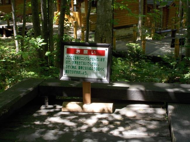 追想 寝台特急カシオペアの旅 3 新富良野プリンスホテルのランチとニングルテラス 富良野 北海道 の旅行記 ブログ By Happinさん フォートラベル 追想 寝台特急カシオペアの旅 3 新富良野プリンスホテルのランチとニングルテラス 富良野 北海道 の旅行記 ブログ By Happinさん フォートラベル
