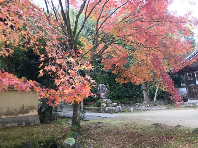 このあとは、奈良駅まで歩いてお夕飯を調達したり、お土産を探したりしました。<br /><br />本日は電車のトラブルで当初の予定とは全く違う旅となりましたが、薬師寺の食堂や東塔が完成していて良かった(*'▽'*)<br /><br />では、明日難波でお笑いライブを見に行きます！