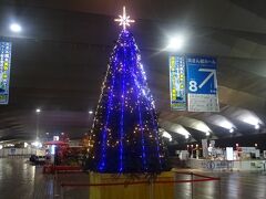 大桟橋のクリスマスツリー