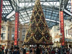 東京ディズニーランド入園

2年振りにワールドバザールには、クリスマスツリーが復活