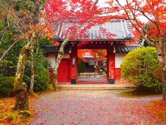 次に向かったのは常照時