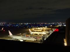 羽田空港国内線第1ターミナル展望デッキ (ガリバーズデッキ)