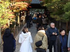 やっとここまで辿り着きました！
哲学の道のゴールは銀閣寺。