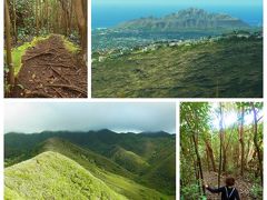 ハワイロアリッジはゲートのある豪邸タウンですが山なのでトレッキングが出来るのです。
https://4travel.jp/travelogue/10628362