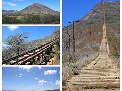 でも今回一番私が密かに思ってたのはココヘッドのリベンジ
言い訳だけど先にマノアの滝のトレッキングをして一番熱いお昼にココヘッドだったので途中で断念しました。
いつかいつか・・・と思いながら結局今回も行かなかったぁ・苦笑
https://4travel.jp/travelogue/10497375
こんなトレッキングもあるよ～とご紹介