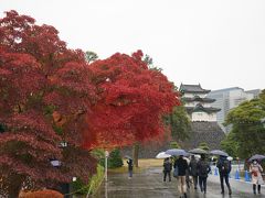 紅葉。先には富士見櫓が見えます。