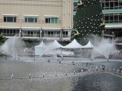 池の噴水が綺麗です