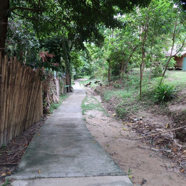 この蚊が沢山いる道を歩くこと3分程。