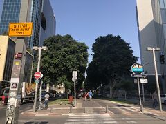 ロスチャイルド通り。
テルアビブで人気のストリート。
なので、テロに注意の通りだそうです。